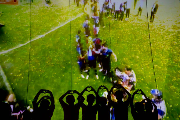 经验将成为 经验将成为