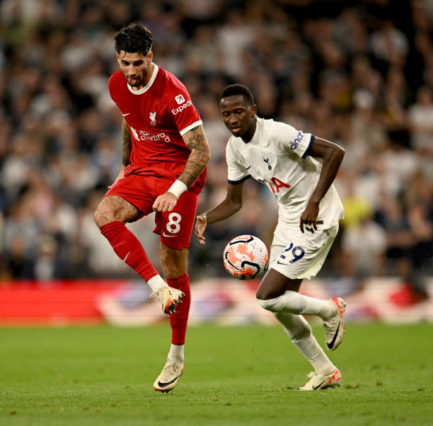 龙在比赛中 龙在比赛中